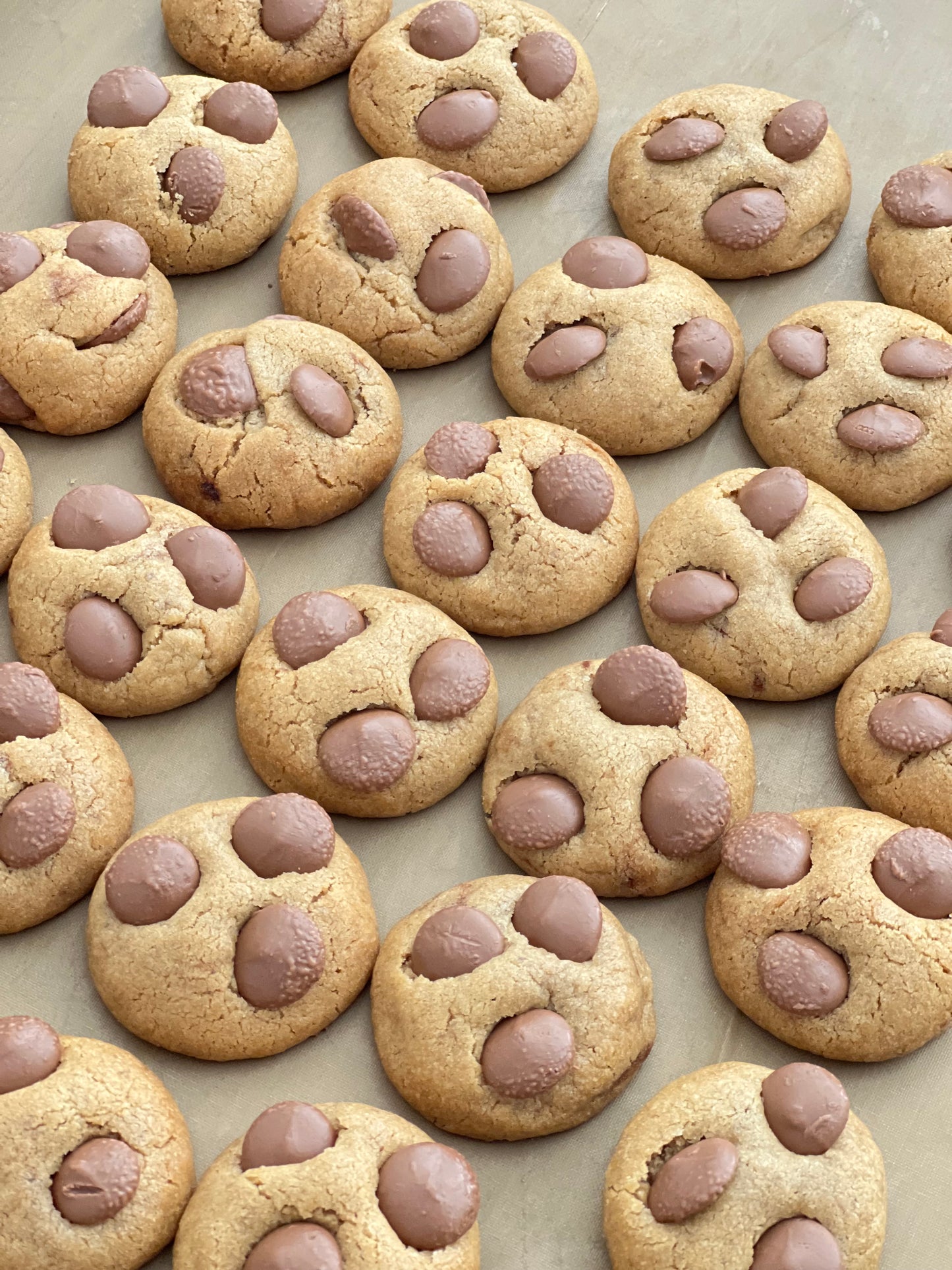 Mini Chocolate Chip Cookies